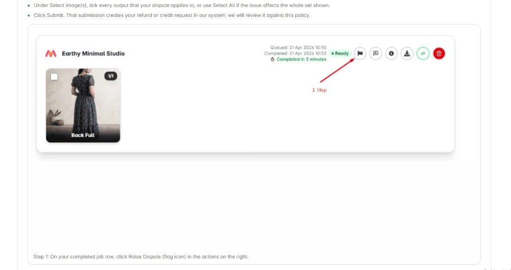 Completed catalog job row with timestamps, Ready status, and action icons including Raise Dispute (flag)